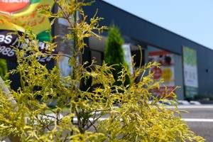 株式会社 OBSの仕事イメージ